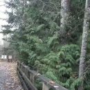 Maplewood Flats Conservation Area 이미지