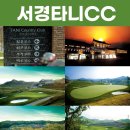 타니스테이 이미지