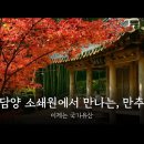 [11/5(목)]강천산 애기단풍 + 담양 소쇄원 이미지