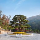 소망분재원