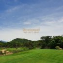 CC카써비스 이미지