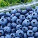 우림농장1 이미지