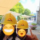 천곡황금박쥐동굴 | 동해 가볼 만한 곳 천곡황금박쥐동굴 방문 후기