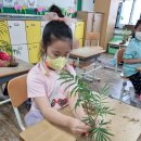 군산서초등학교 이미지