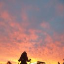 노고단-5 이미지