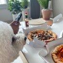 경원로R | 김해피자 맛집은 1인1판 가능한 노모어피자 메뉴 추천