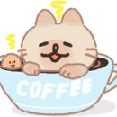 켄휘트니스 이미지