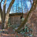 돌배나무 민박 이미지