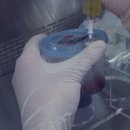 미라셀주식회사 이미지