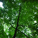 무릉계곡 2호 이미지