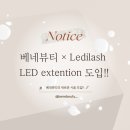보라 검도관 | [서울/은평구] 역촌역 근처, 베네뷰티에서 핫한 Led 속눈썹 연장
