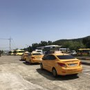 현대자동차 양덕점 | 포항 양덕 운전면허학원 3곳 비교: 초보 단기 합격 완벽 마스터!