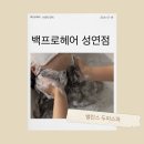 헤어밸런스 | [서산] 백프로헤어 미용실 밸런스 두피스파 이용후기