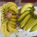 바나나의 위용(45000동) 이미지