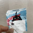 케이티위즈 2024 워터페스티벌 구역 후기 직관 일기