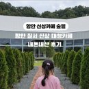 숲필 네이버블로그