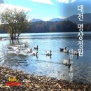 마산동쉼터 | 대전 가을여행 명상정원 단풍 명소