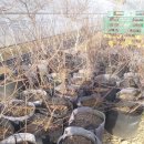 지인농장 이미지