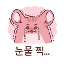 해피댕댕이 이미지