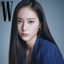 크리스탈그룹주 이미지
