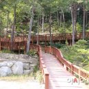 국립자연휴양림관리소(산음자연휴양림) 이미지