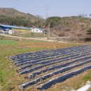 정다운 PC 이미지