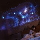 엑스디지탈(주) 이미지