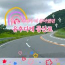 (유)아시아렌터카 네이버블로그
