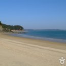 연포해수욕장(송림) 이미지