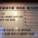 제주꽃돼지 네이버블로그