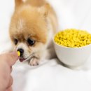 셀프25시 이미지