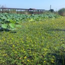 남생이못 이미지