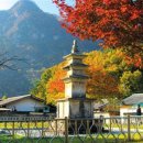 향산유원지 이미지