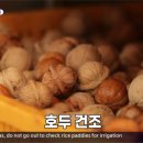 감골농장 이미지