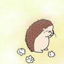 차돌배기로1길1 이미지