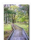 일본 닛코 국립공원(일광 국립공원) 이미지