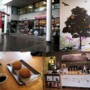 [네이뜬의 Victoria 생활방식] - 11. 벤쿠버여행- 10불...