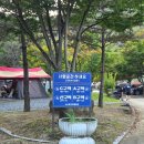 소선암오토캠핑장 | 충북 단양 소선암 오토캠핑장 후기 | 부대시설 등 계곡 앞 캠핑의 모든 것