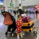 환영장 | 푸켓공항 공항 픽업 푸켓공항에서 시내가는 법 볼트 택시 비교