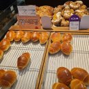 한들로 | 대구 천하제빵 소금빵 맛집 이바컵 챔피언 김인석 기능장 엘본더브레드 후기