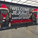 삼도목장 | 겨울제주여행 1일차 일정/카모아 조아렌트카 + 숙소 1박/동문시장/정직한통닭