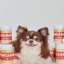 멍삼이네 이미지