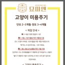 묘 미 앤 이미지