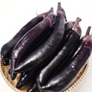 고려농약사 이미지