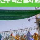 법인선주