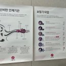 OK할인마트 이미지