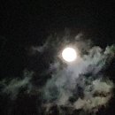 두미바다펜션 이미지