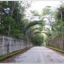 일성지리산콘도미니엄 이미지