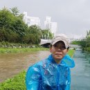 우면산3-34 이미지