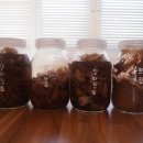 유리모리 이미지